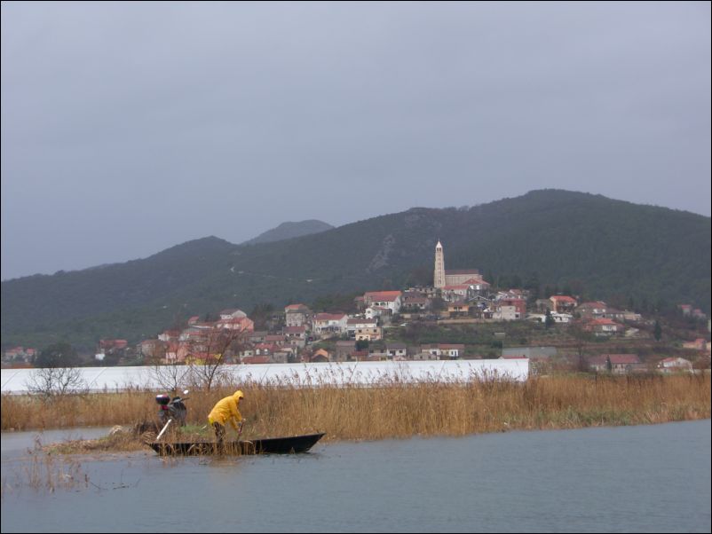 Poplava_u_Vidu_ (18)